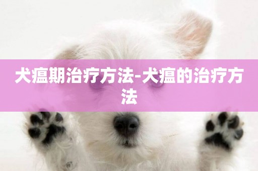 犬瘟期治療方法-犬瘟的治療方法