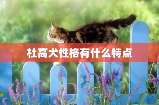 杜高犬性格有什么特點