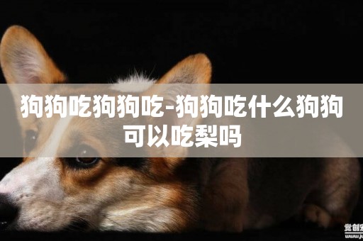狗狗吃狗狗吃-狗狗吃什么狗狗可以吃梨嗎