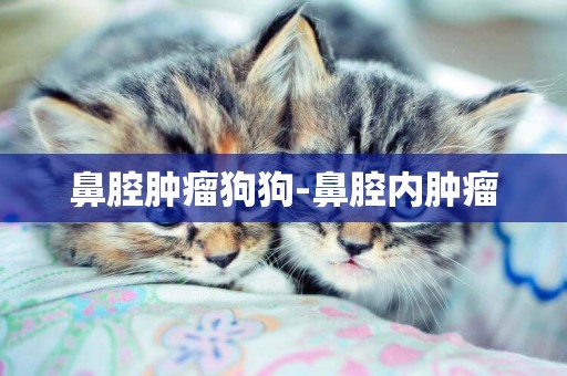 鼻腔腫瘤狗狗-鼻腔內腫瘤