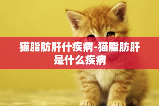 貓脂肪肝什疾病-貓脂肪肝是什么疾病