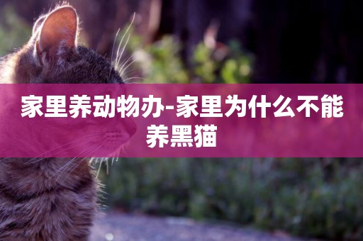 家里養動物辦-家里為什么不能養黑貓