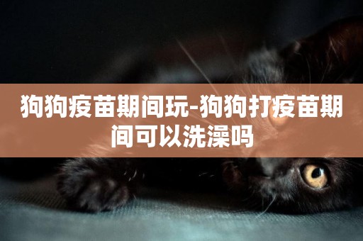 狗狗疫苗期間玩-狗狗打疫苗期間可以洗澡嗎