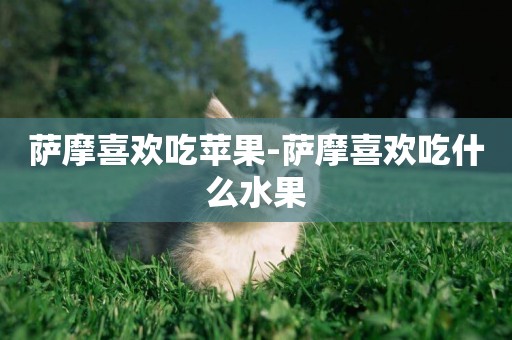 薩摩喜歡吃蘋果-薩摩喜歡吃什么水果