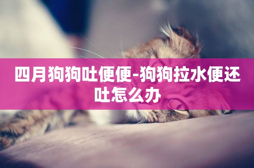 四月狗狗吐便便-狗狗拉水便還吐怎么辦