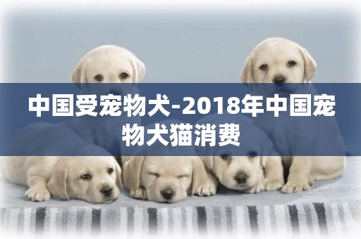 中國受寵物犬-2018年中國寵物犬貓消費