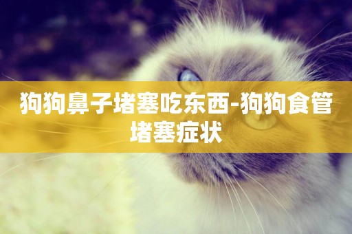 狗狗鼻子堵塞吃東西-狗狗食管堵塞癥狀