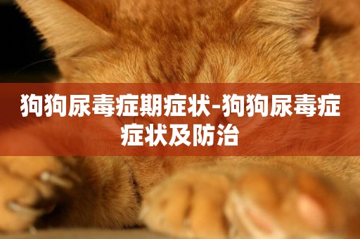 狗狗尿毒癥期癥狀-狗狗尿毒癥癥狀及防治