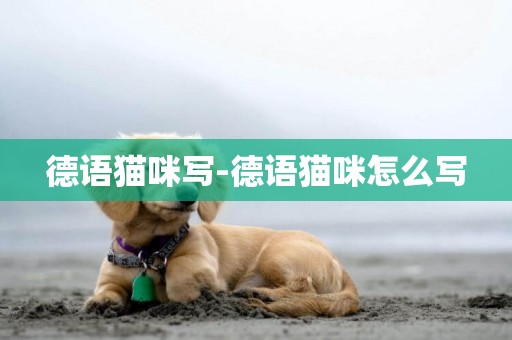德語貓咪寫-德語貓咪怎么寫