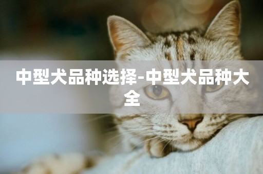 中型犬品種選擇-中型犬品種大全