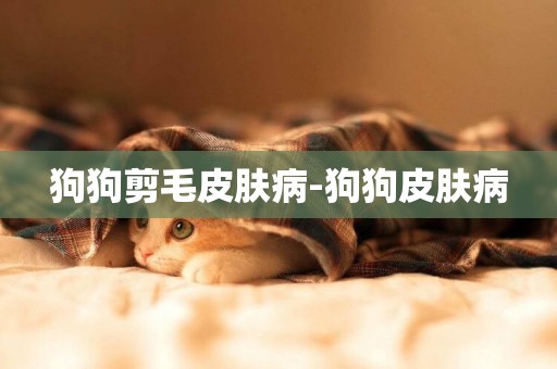 狗狗剪毛皮膚病-狗狗皮膚病