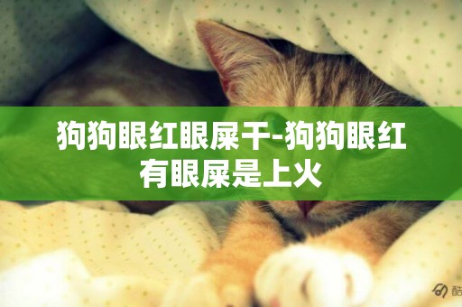 狗狗眼紅眼屎干-狗狗眼紅有眼屎是上火