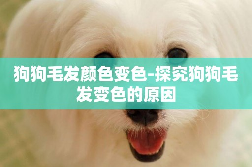 狗狗毛發顏色變色-探究狗狗毛發變色的原因
