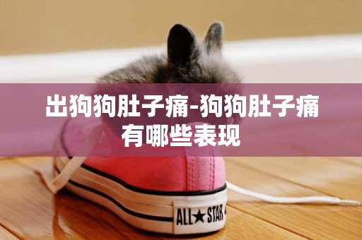 出狗狗肚子痛-狗狗肚子痛有哪些表現