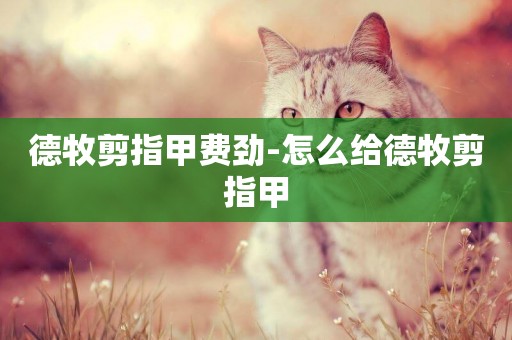 德牧剪指甲費勁-怎么給德牧剪指甲