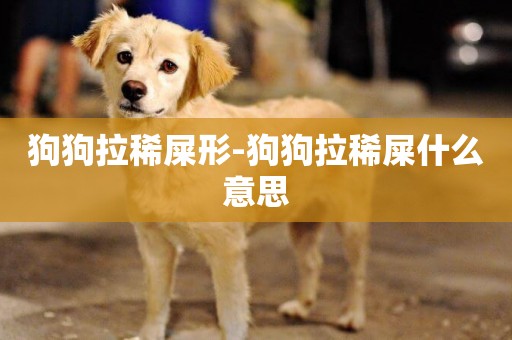 狗狗拉稀屎形-狗狗拉稀屎什么意思