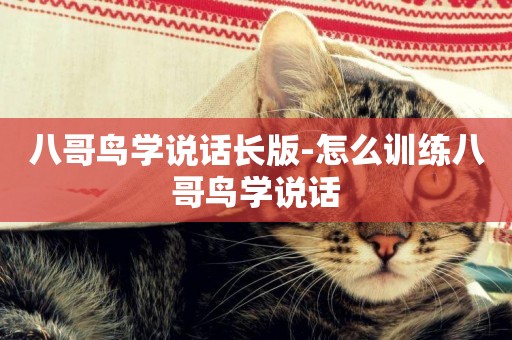 八哥鳥學說話長版-怎么訓練八哥鳥學說話