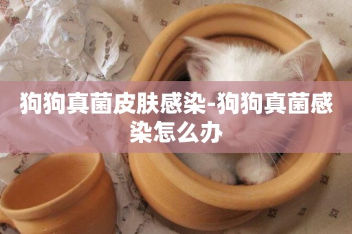 狗狗真菌皮膚感染-狗狗真菌感染怎么辦