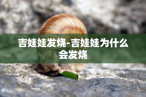 吉娃娃發燒-吉娃娃為什么會發燒