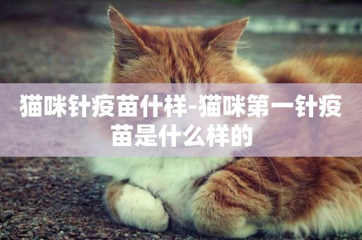 貓咪針疫苗什樣-貓咪第一針疫苗是什么樣的