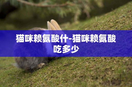 貓咪賴氨酸什-貓咪賴氨酸吃多少