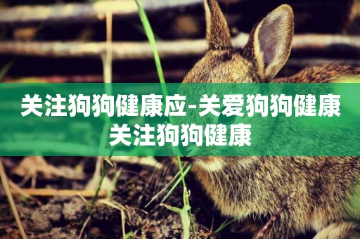 關注狗狗健康應-關愛狗狗健康關注狗狗健康