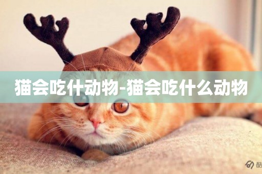 貓會吃什動物-貓會吃什么動物