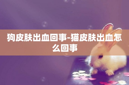 狗皮膚出血回事-貓皮膚出血怎么回事