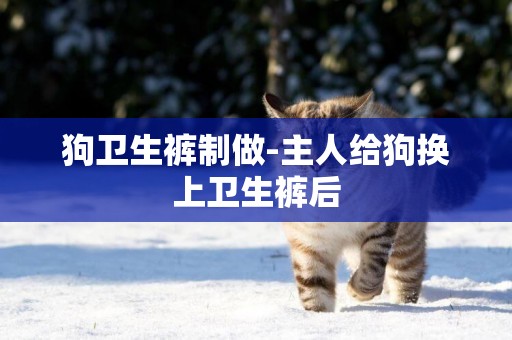 狗衛生褲制做-主人給狗換上衛生褲后