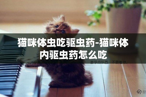 貓咪體蟲吃驅蟲藥-貓咪體內驅蟲藥怎么吃