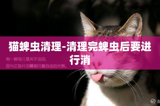 貓蜱蟲清理-清理完蜱蟲后要進行消