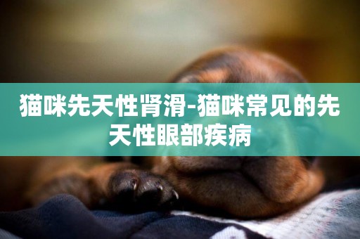 貓咪先天性腎滑-貓咪常見的先天性眼部疾病