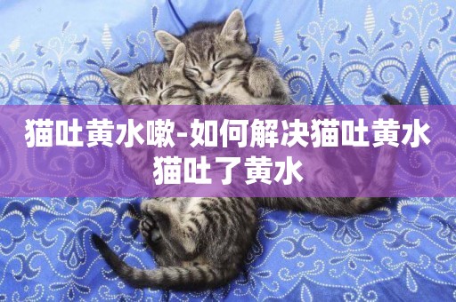 貓吐黃水嗽-如何解決貓吐黃水貓吐了黃水