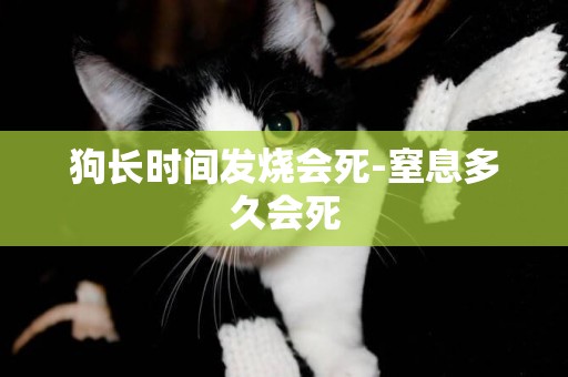 狗長時間發燒會死-窒息多久會死