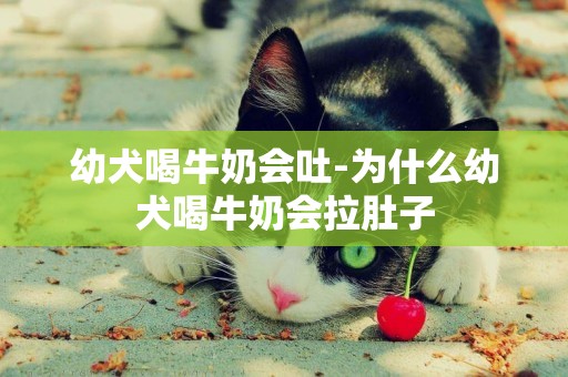 幼犬喝牛奶會吐-為什么幼犬喝牛奶會拉肚子