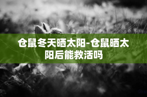 倉鼠冬天曬太陽-倉鼠曬太陽后能救活嗎