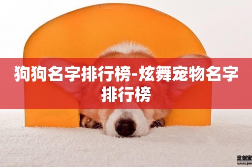 狗狗名字排行榜-炫舞寵物名字排行榜