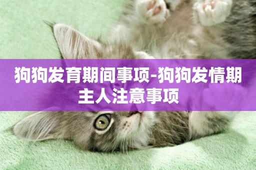 狗狗發育期間事項-狗狗發情期主人注意事項