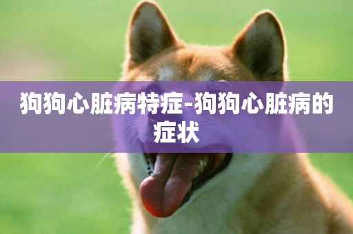 狗狗心臟病特癥-狗狗心臟病的癥狀