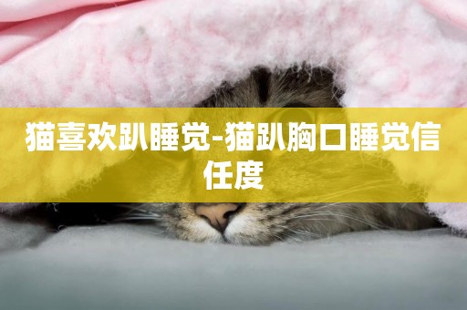 貓喜歡趴睡覺-貓趴胸口睡覺信任度