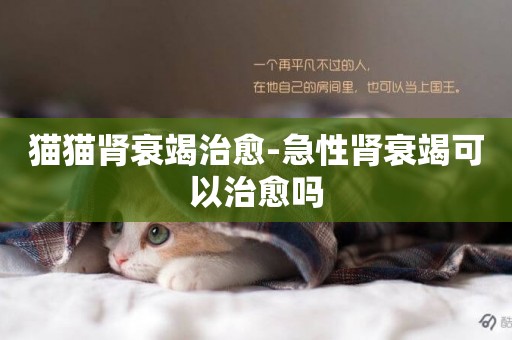 貓貓腎衰竭治愈-急性腎衰竭可以治愈嗎