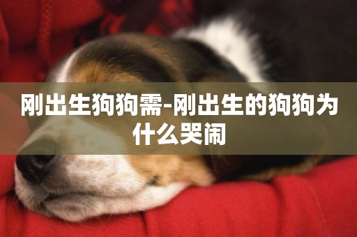 剛出生狗狗需-剛出生的狗狗為什么哭鬧