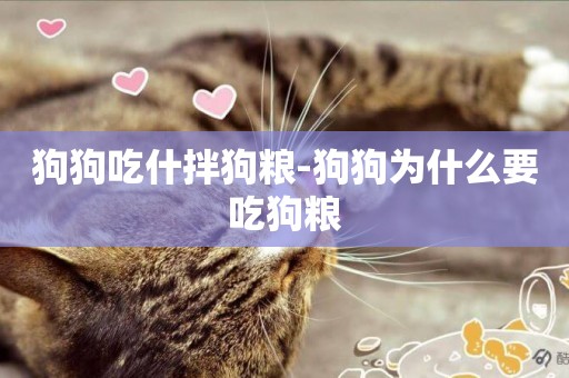 狗狗吃什拌狗糧-狗狗為什么要吃狗糧