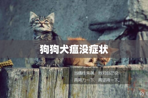 狗狗犬瘟沒癥狀
