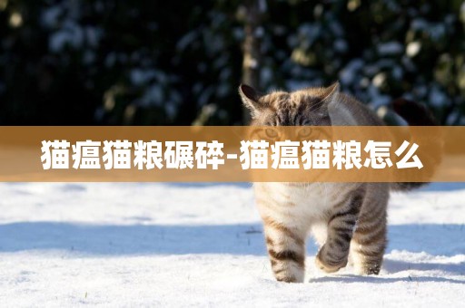 貓瘟貓糧碾碎-貓瘟貓糧怎么