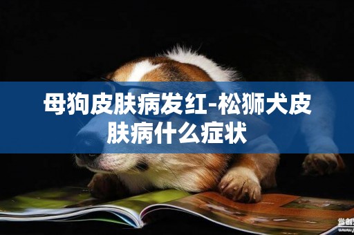 母狗皮膚病發紅-松獅犬皮膚病什么癥狀