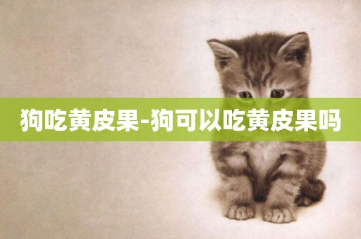 狗吃黃皮果-狗可以吃黃皮果嗎