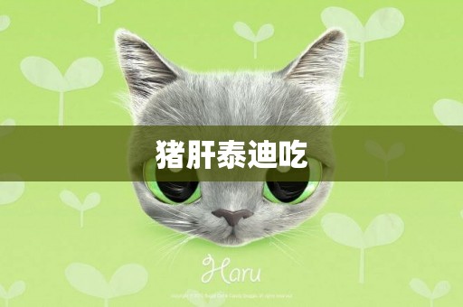 豬肝泰迪吃