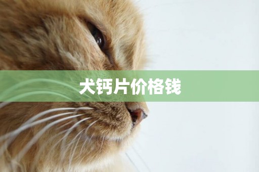 犬鈣片價格錢