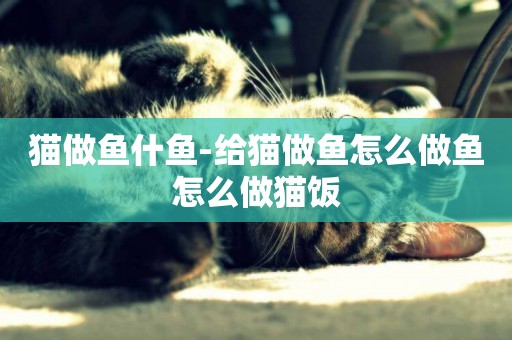 貓做魚什魚-給貓做魚怎么做魚怎么做貓飯